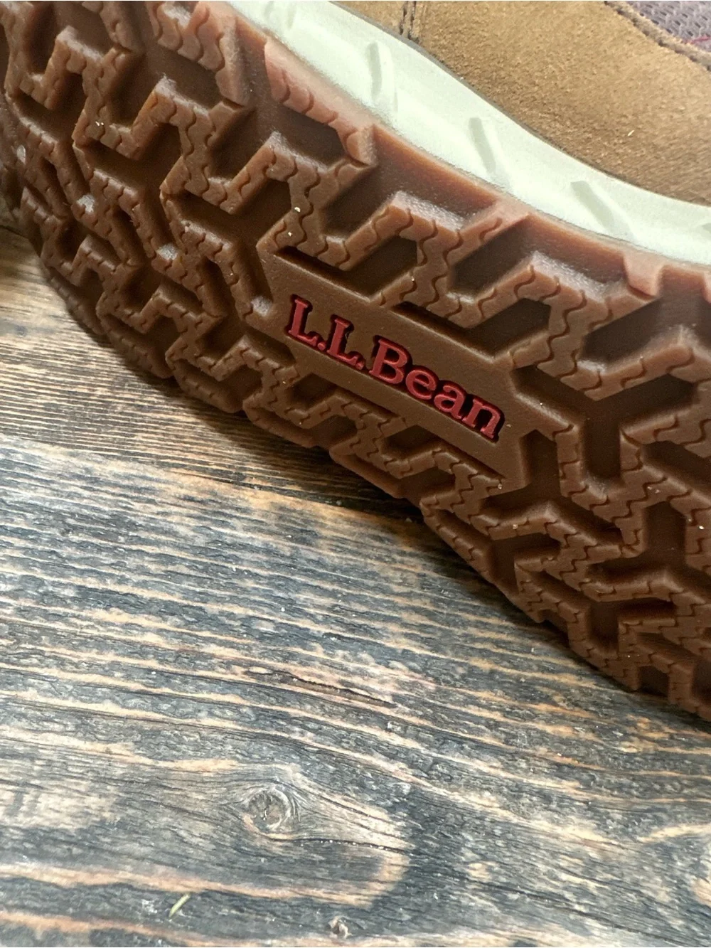 L.L. Bean excellent bean